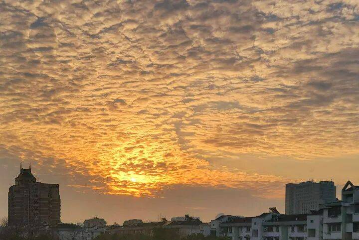 正版皇冠信用开户申请_浙江一地官宣即将入春正版皇冠信用开户申请！杭州气温也马上原地起飞…