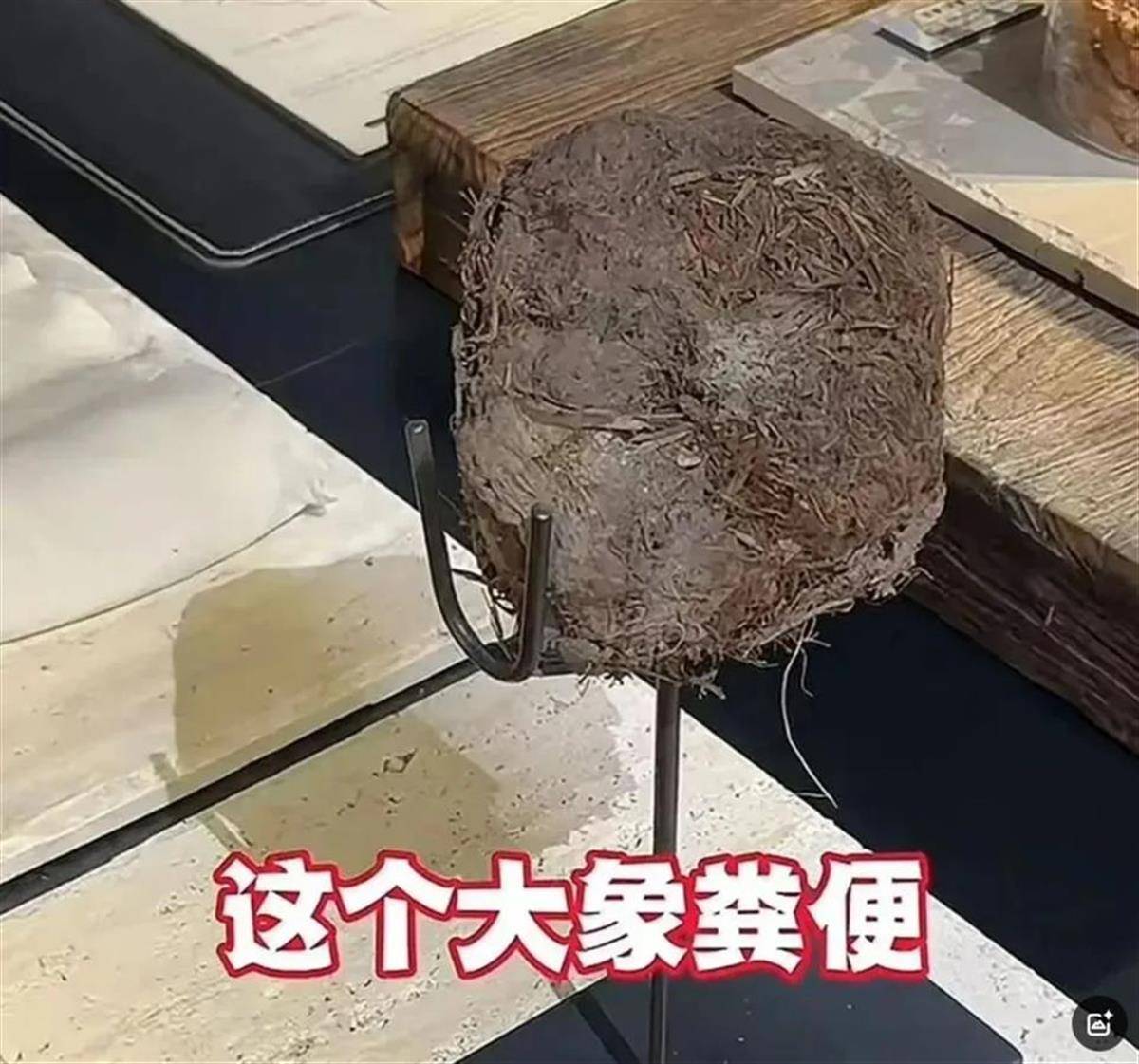 瑞士乙组联赛升级赛_用大象粪便做甜品的餐厅瑞士乙组联赛升级赛，因违反《食品安全法》被立案调查