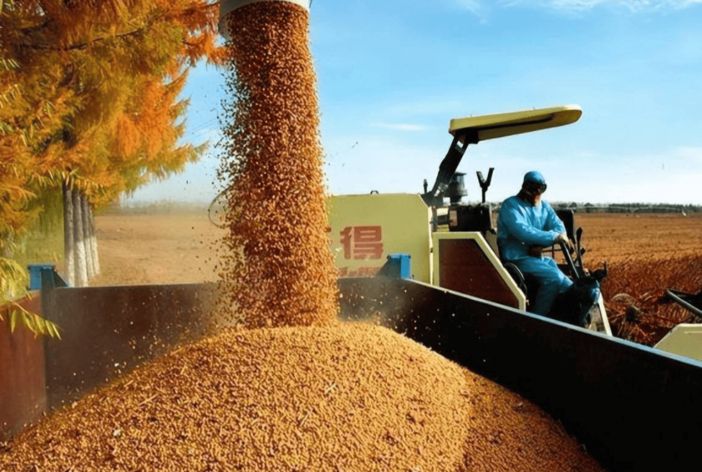 皇冠信用网开户_对华出口下降70%！特朗普大打出手皇冠信用网开户，没想到第一个倒下的竟是自己人