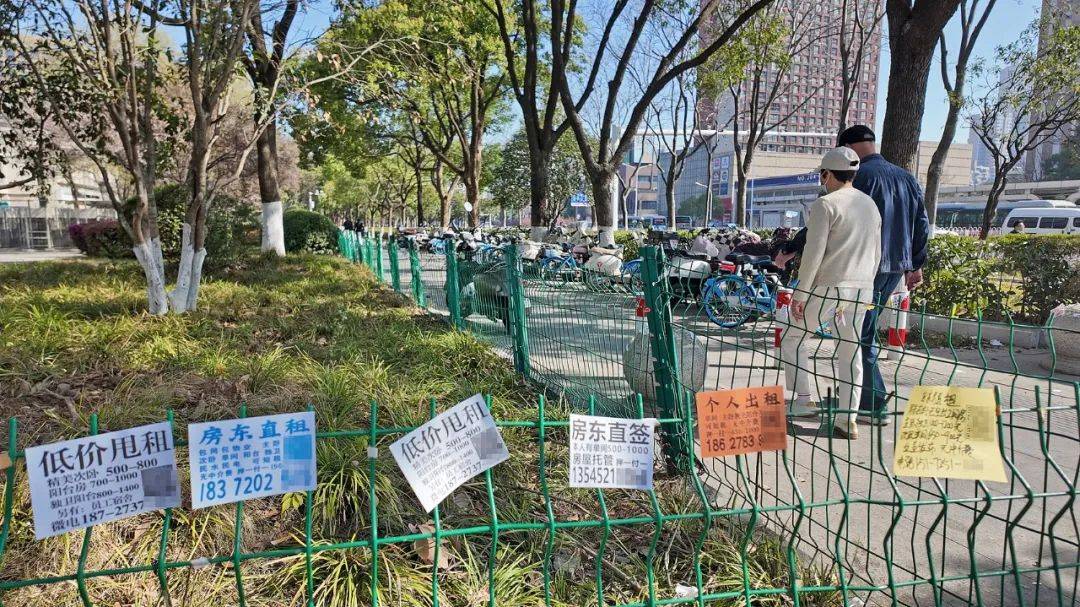 皇冠信用网哪里申请_一二线城市房租普降皇冠信用网哪里申请，房东主动降200留我