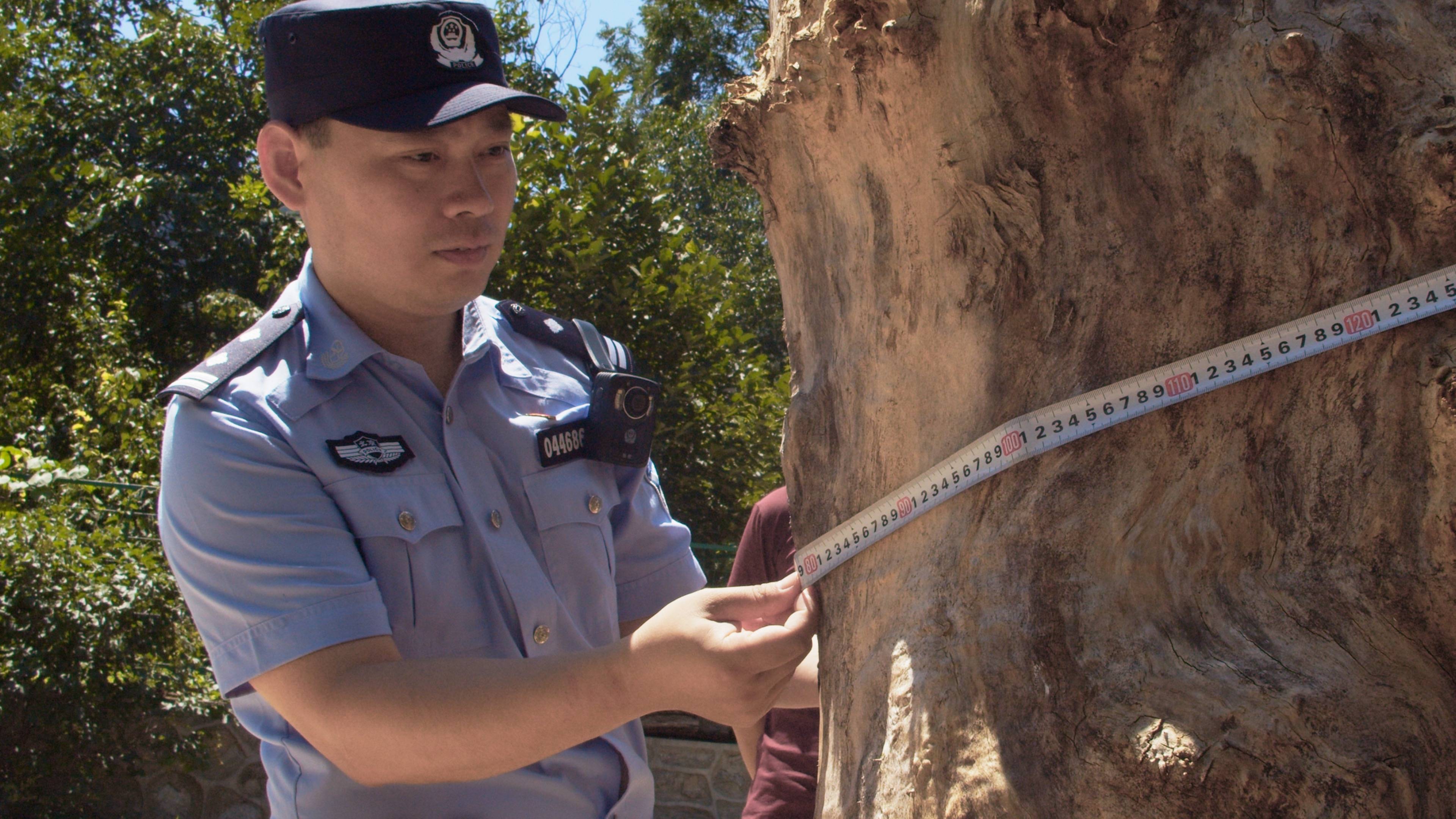 皇冠信用网注册开通_森林警察韩孟祺：乔装成驴友潜伏密林中皇冠信用网注册开通，抓获“粘鸟”嫌疑人