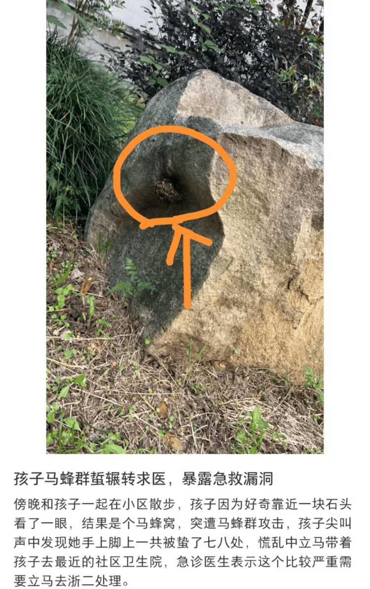 帕丘卡vs萨尔茨堡红牛_6岁女童被马蜂蜇伤辗转5家医院才得到治疗帕丘卡vs萨尔茨堡红牛？杭州卫健委：会反映给相关处室