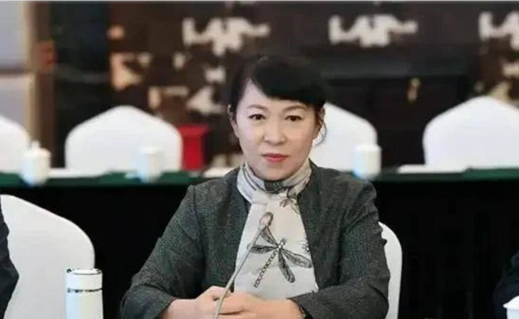 AC米兰vs克雷莫内塞_“换装主席”王莉霞的堕落：从光鲜人设到腐败深渊