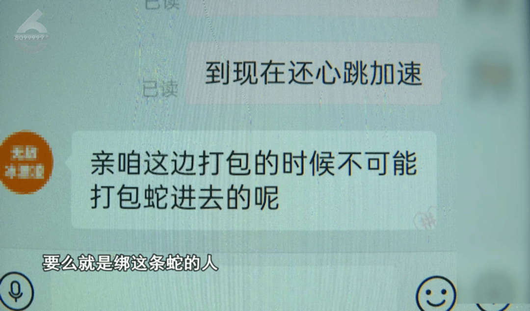 皇冠信用网结算日是哪天_太吓人！云南女子网购塑料凳皇冠信用网结算日是哪天，拆开竟发现一条蛇被胶带粘在椅子上！还在动