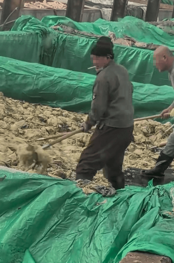 皇冠信用網出租足球_辽宁葫芦岛一男子酸菜池中抽烟吐痰皇冠信用網出租足球，曝光视频令人反胃！省市两级市监介入