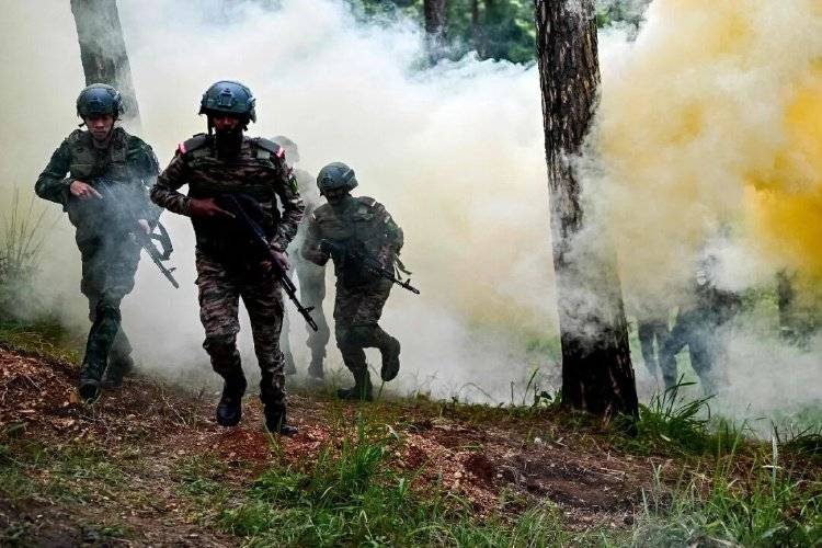 信用网如何申请_“巴基斯坦下令：空军海军待命”