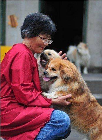 皇冠信用盘网址_合肥卖房救助流浪狗的魏阿姨离世皇冠信用盘网址，病中仍然惦记着基地的600只流浪狗，工人：不敢相信世上还有这样执着的人