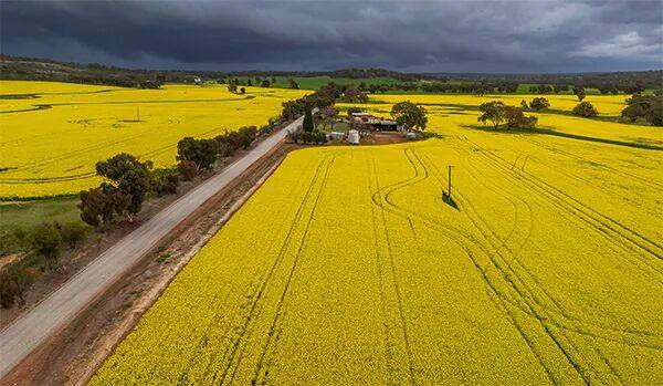 莱斯特城 vs 米德尔斯堡_澳大利亚给中国发货莱斯特城 vs 米德尔斯堡，加拿大农民急了