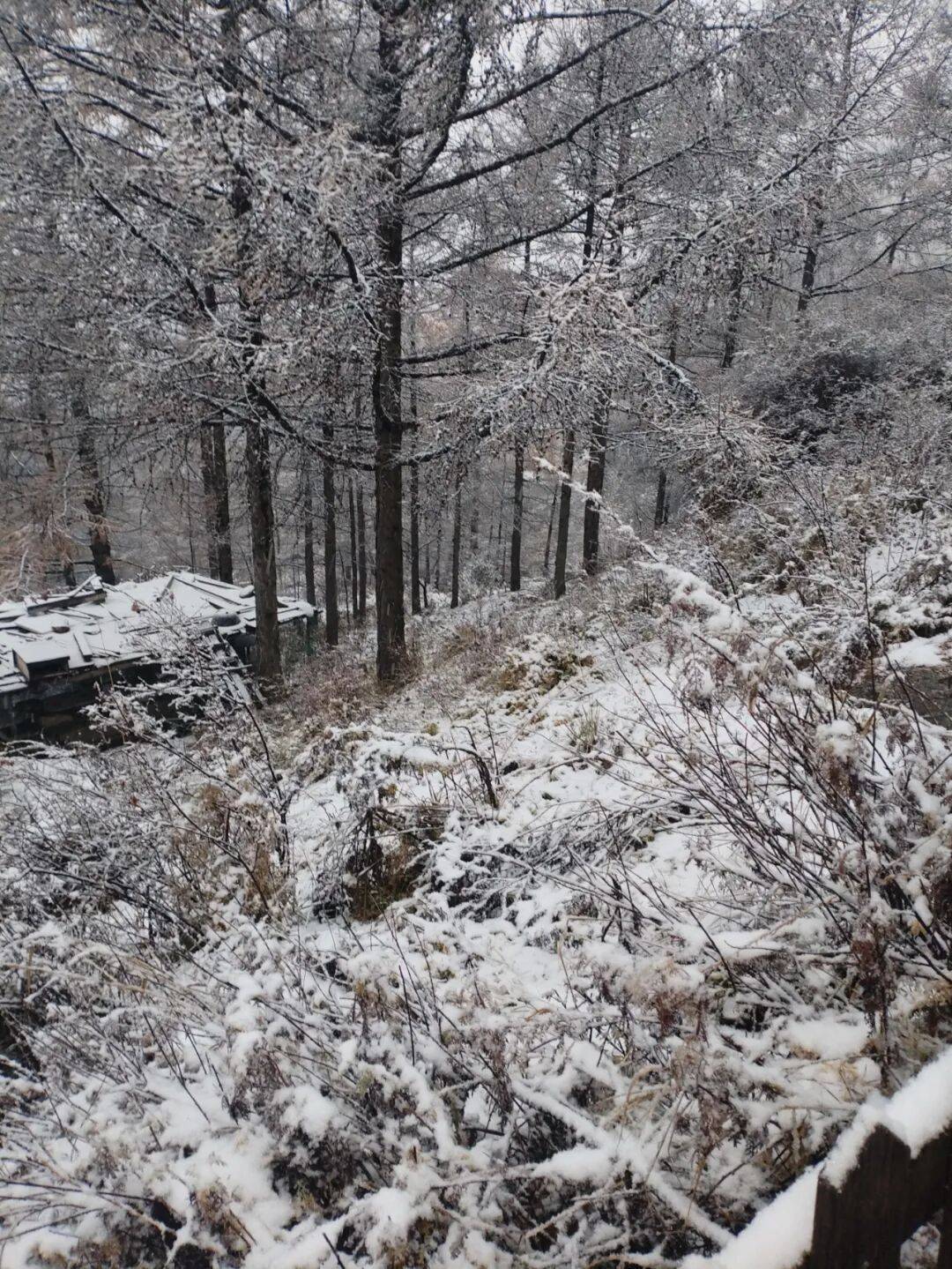 皇冠体育App下载_石家庄下雪了！河北将迎中到大雪皇冠体育App下载，未来三天……