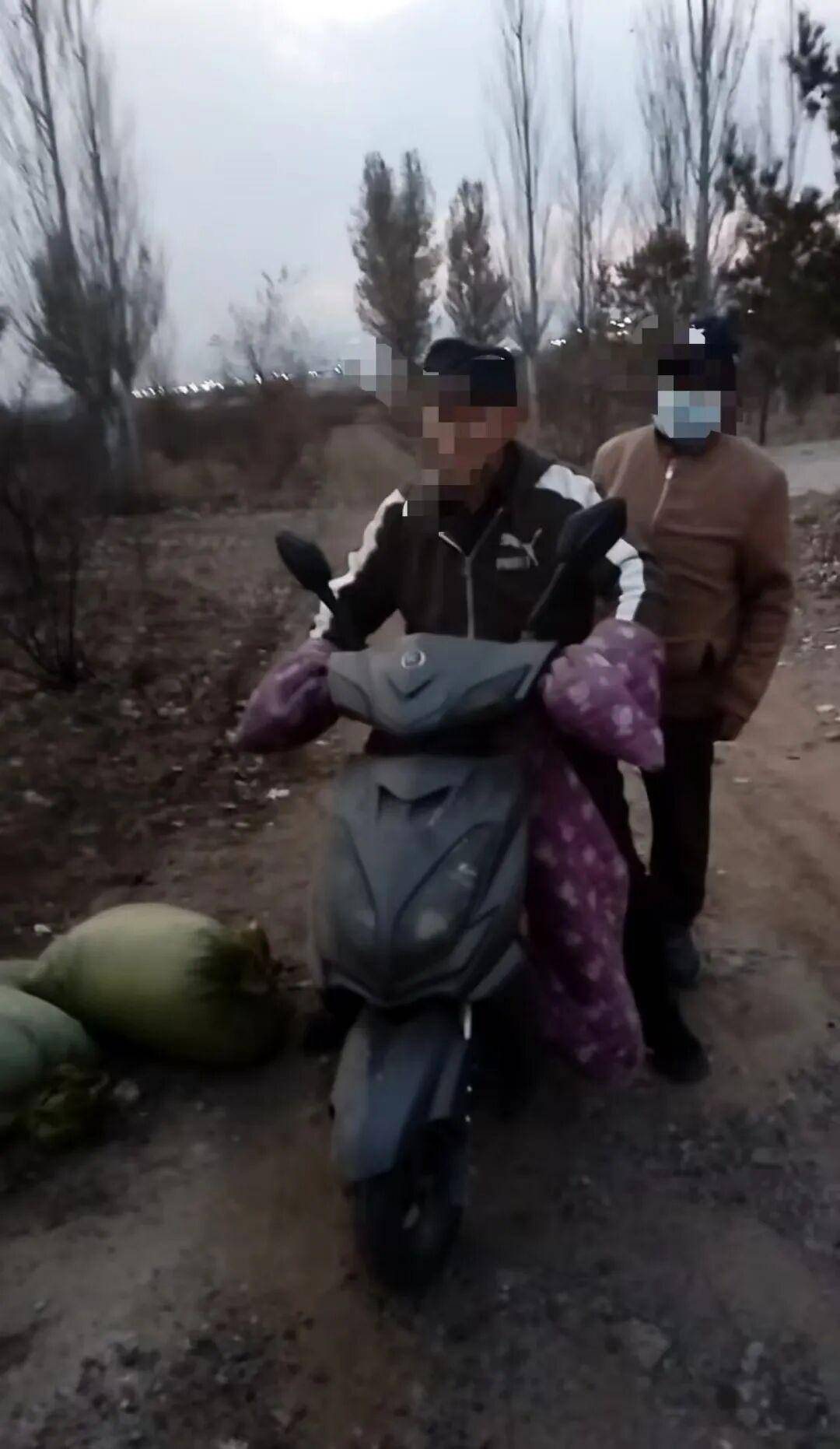 皇冠信用网_百亩向日葵遭村民哄抢皇冠信用网，损失50万元！警方已行拘4人