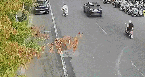 皇冠信用網会员开户_事故频发皇冠信用網会员开户！电动自行车“挡风被”到底该不该用？